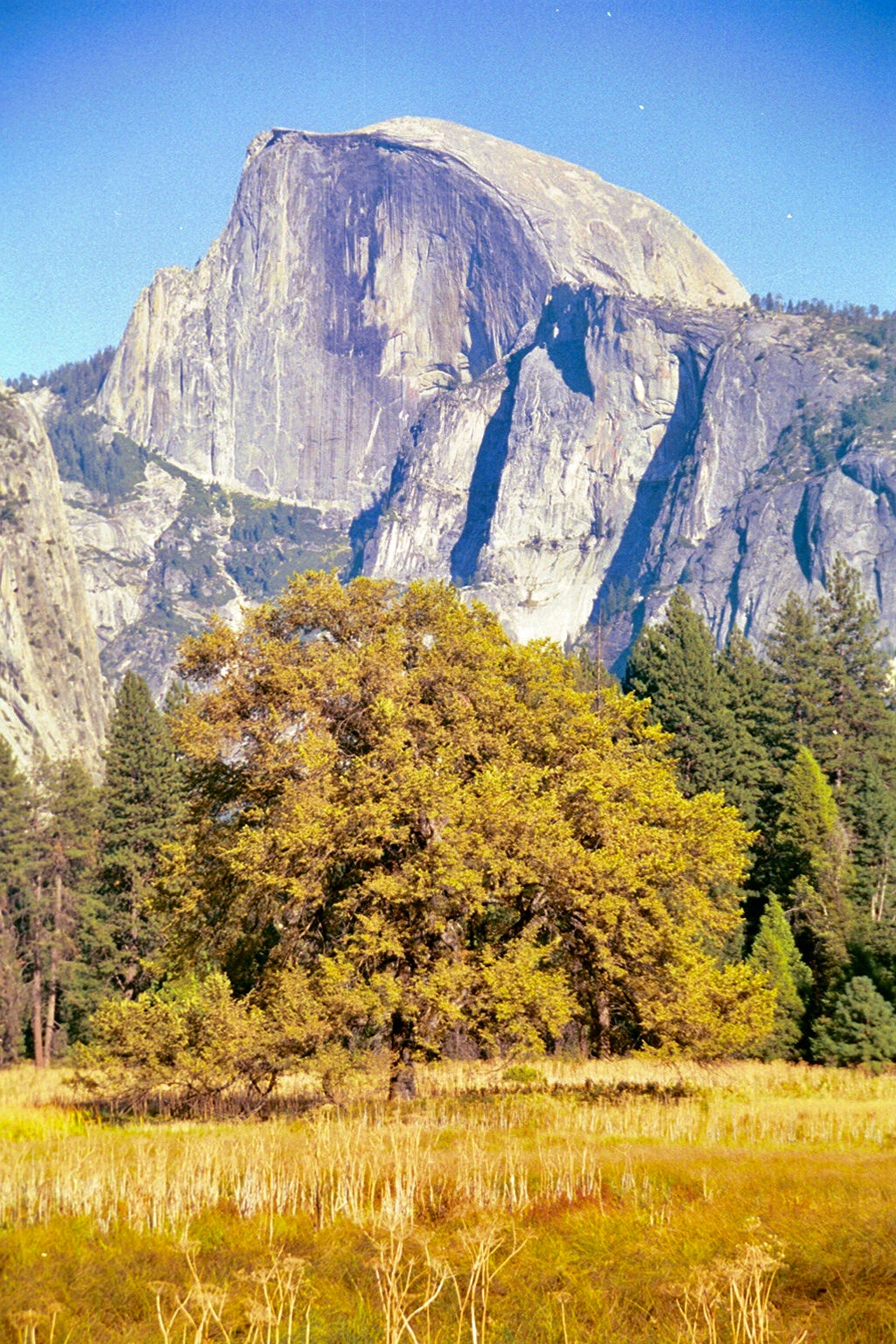 Yosemite NP, California