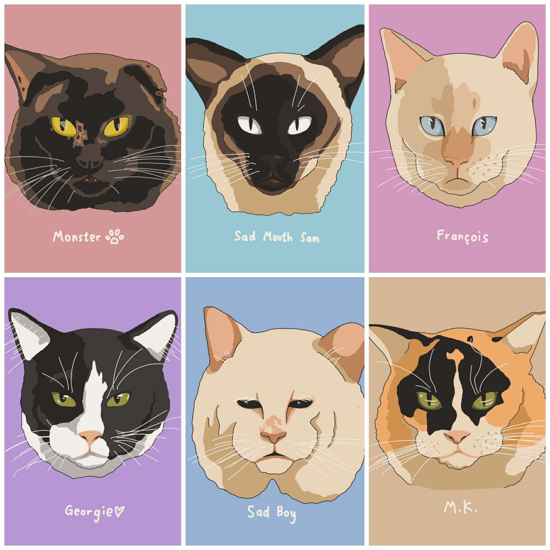 Portraits of 6 cats from Poets Square Cats