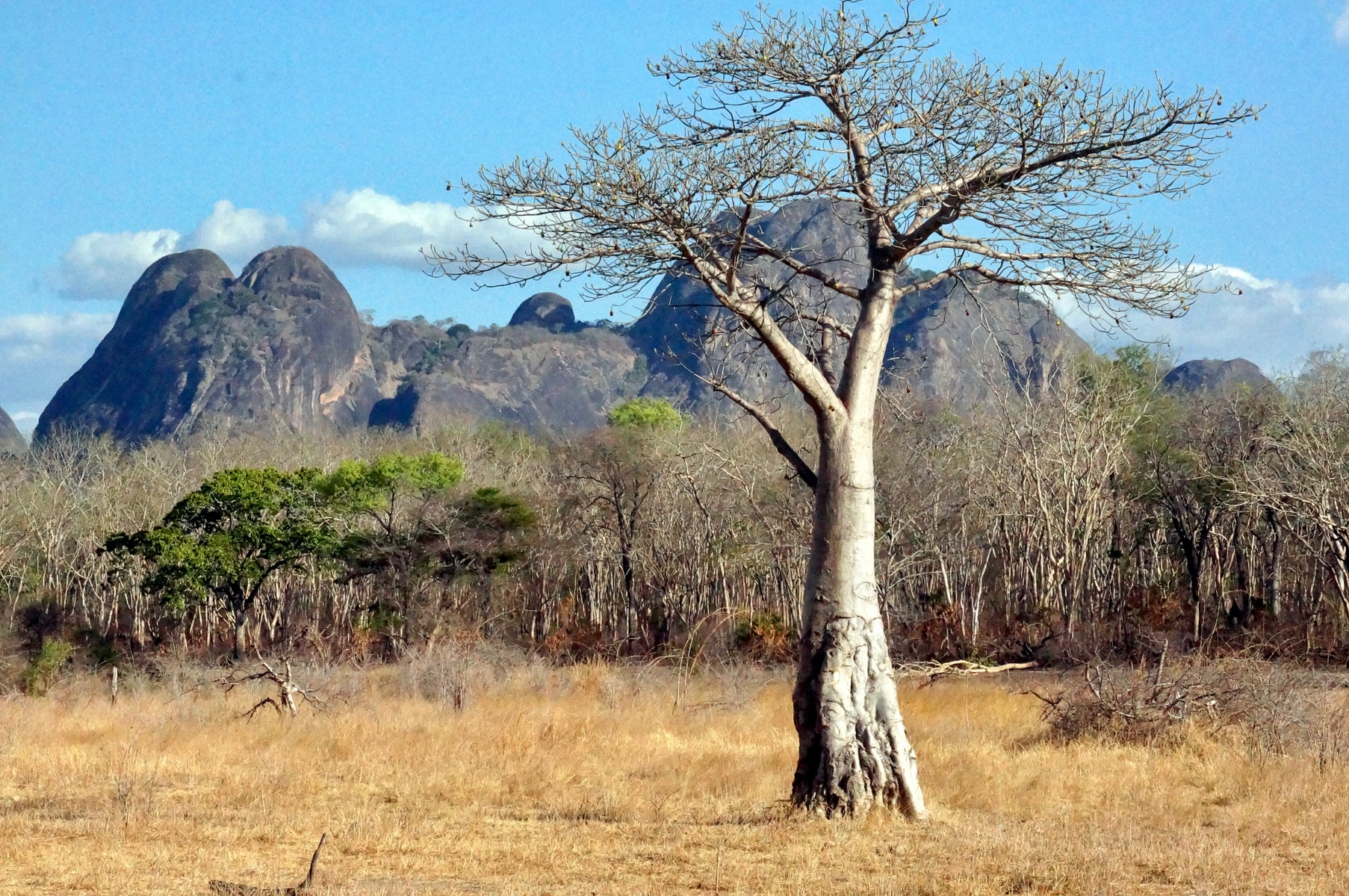 Niassa Reserve, Mozambique