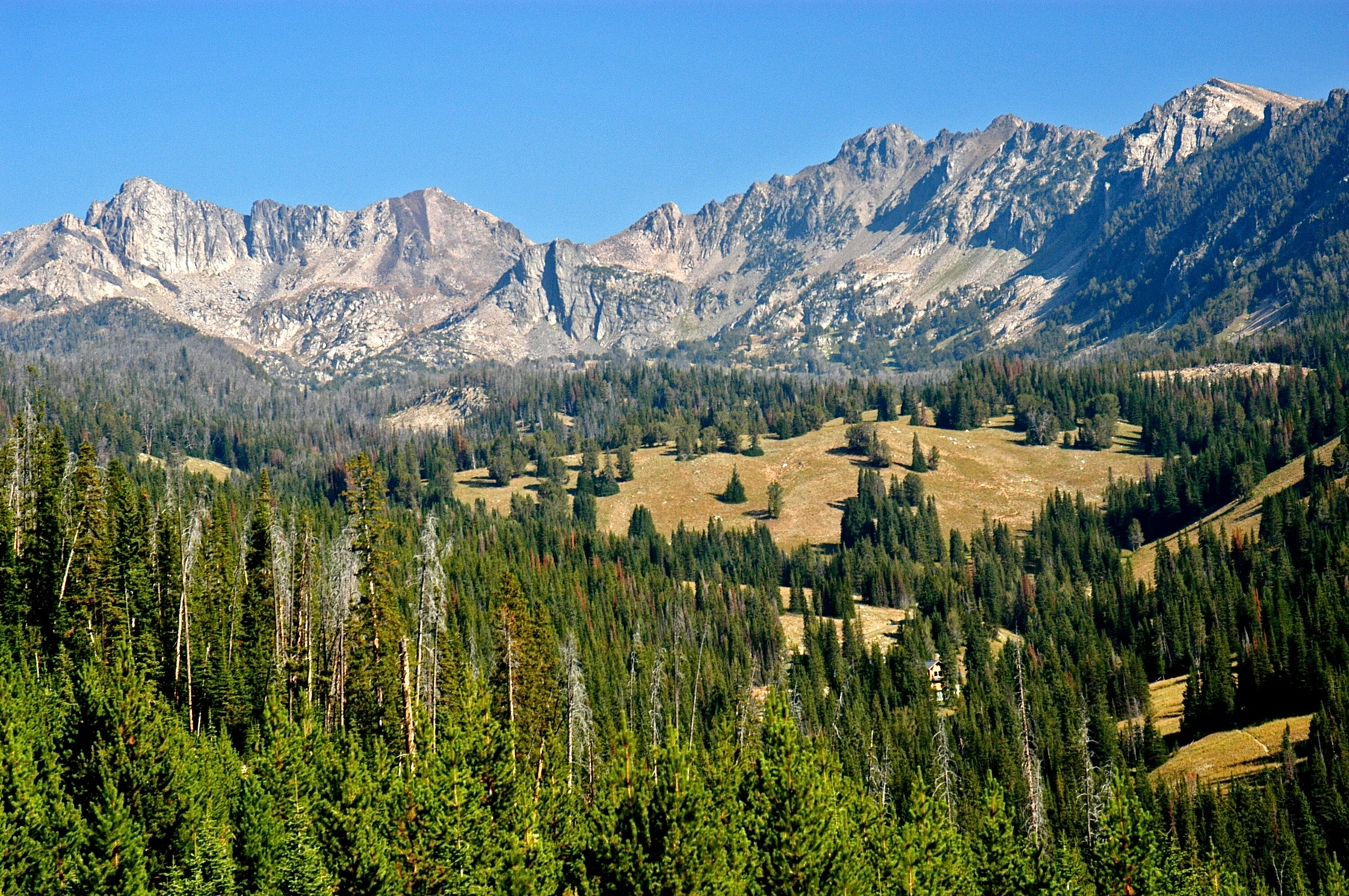 Spanish Peaks Wilderness, Montana