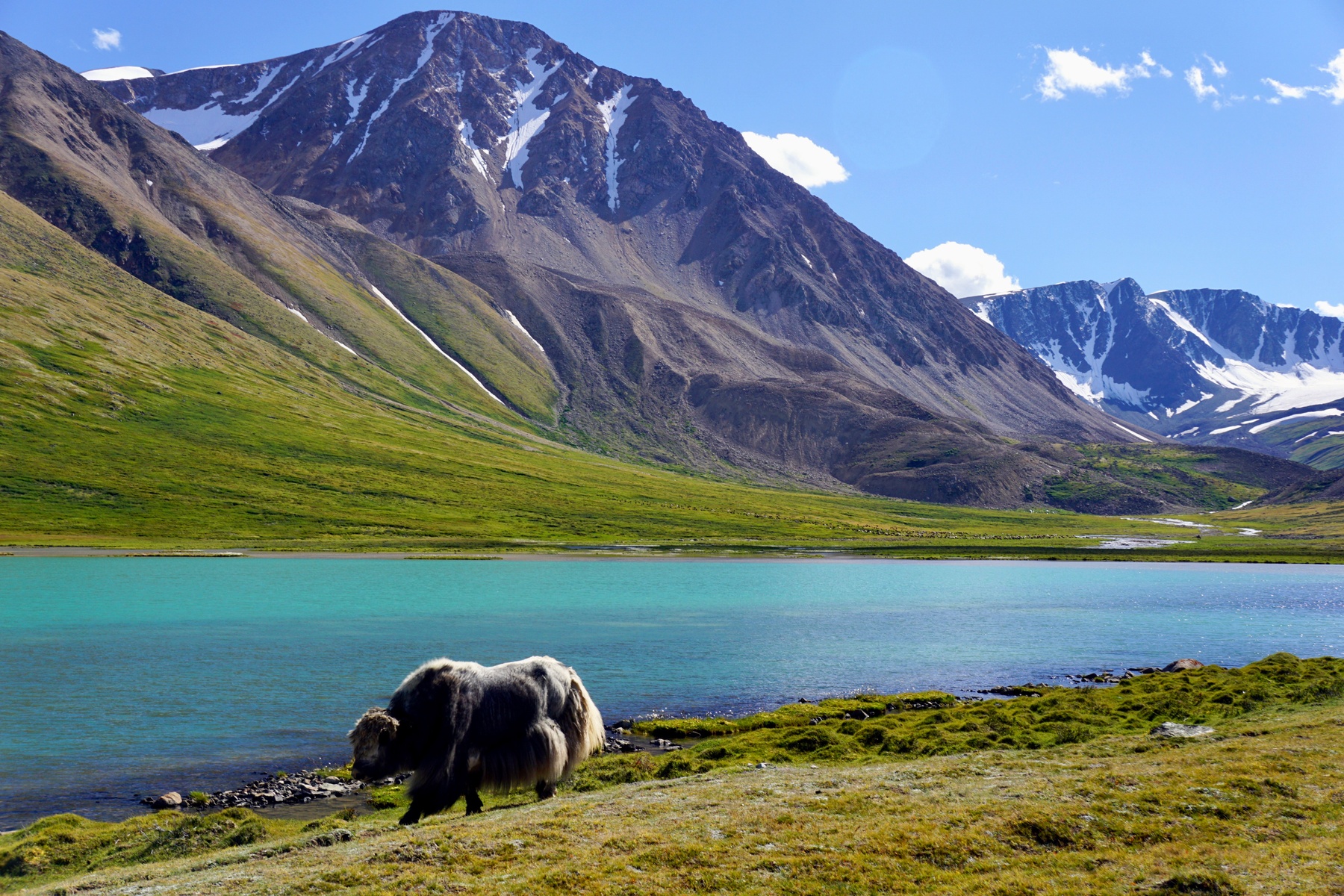 Altai Tavn Bogd National Park, Altai Mountains, Mongolia